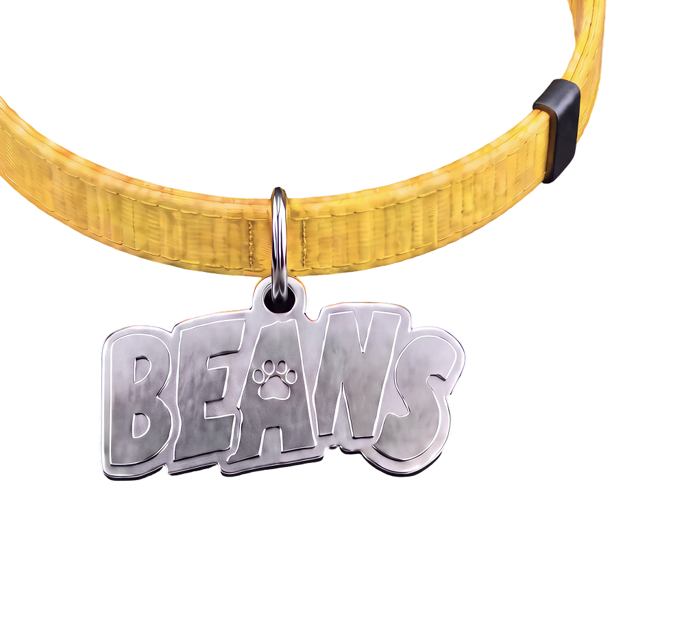A yellow pet collar with a silver BEANS name tag